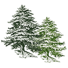 small tree logo